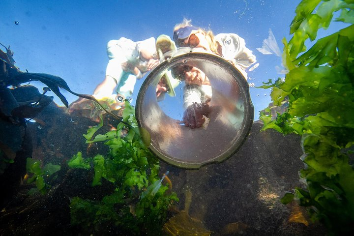 Cape Peninsula with a Marine Biologist - Photo 1 of 12